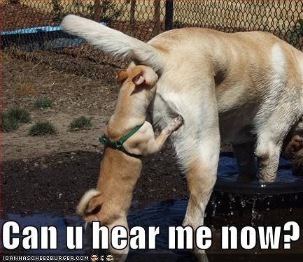 can you hear me_.jpg