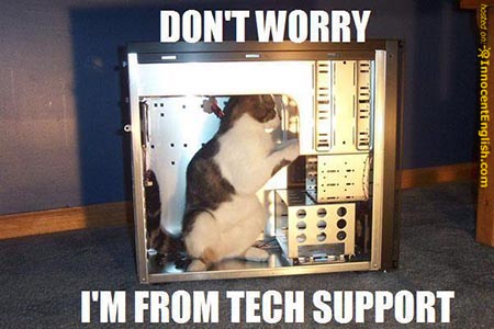 cat.jpeg