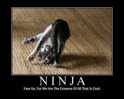 Cats-are-ninjas-cats-18104173-400-320.jpg