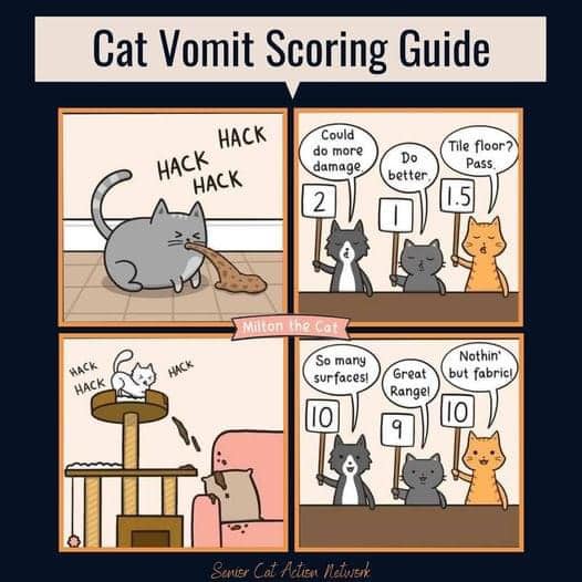 catvomitguide.jpg