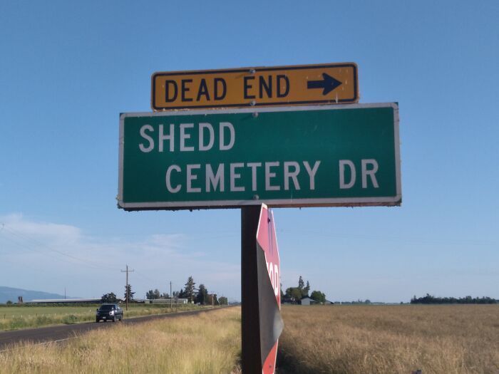 dead end 2.jpg