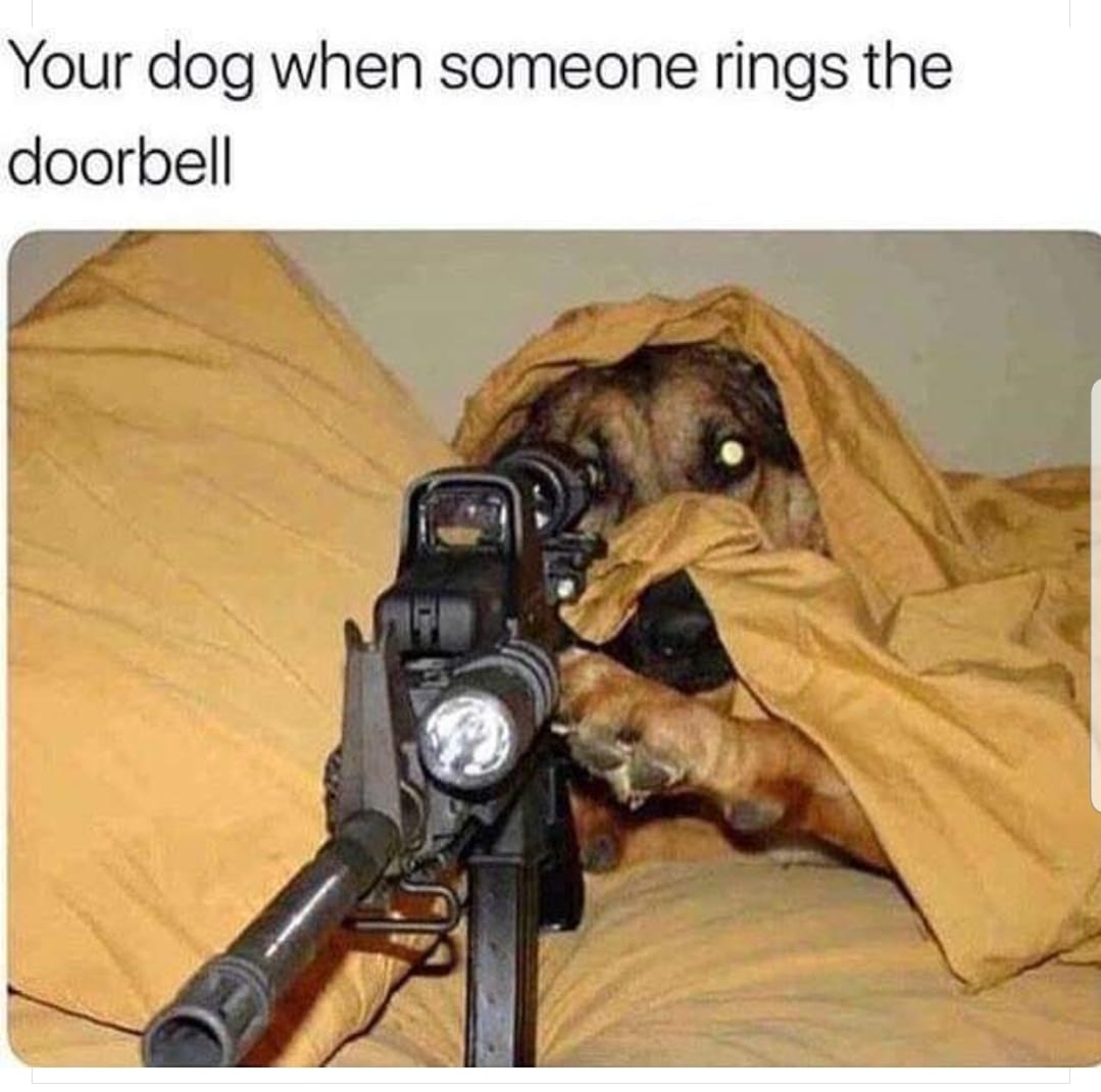 dogsniper.jpg