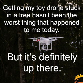 Drone-stuck-in-a-tree.jpg.330.jpg