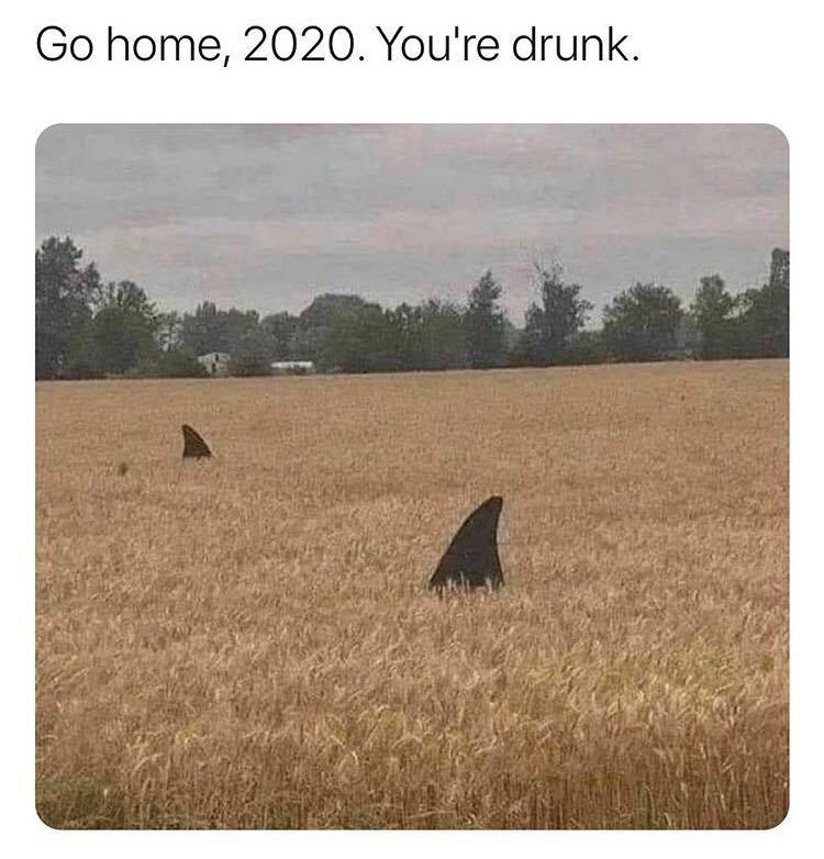 Drunk2020.jpg