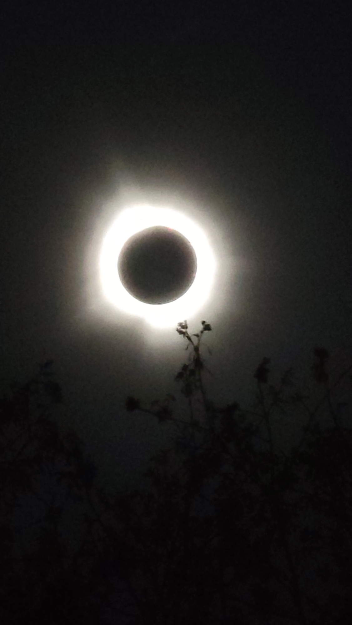 Eclipse.jpg