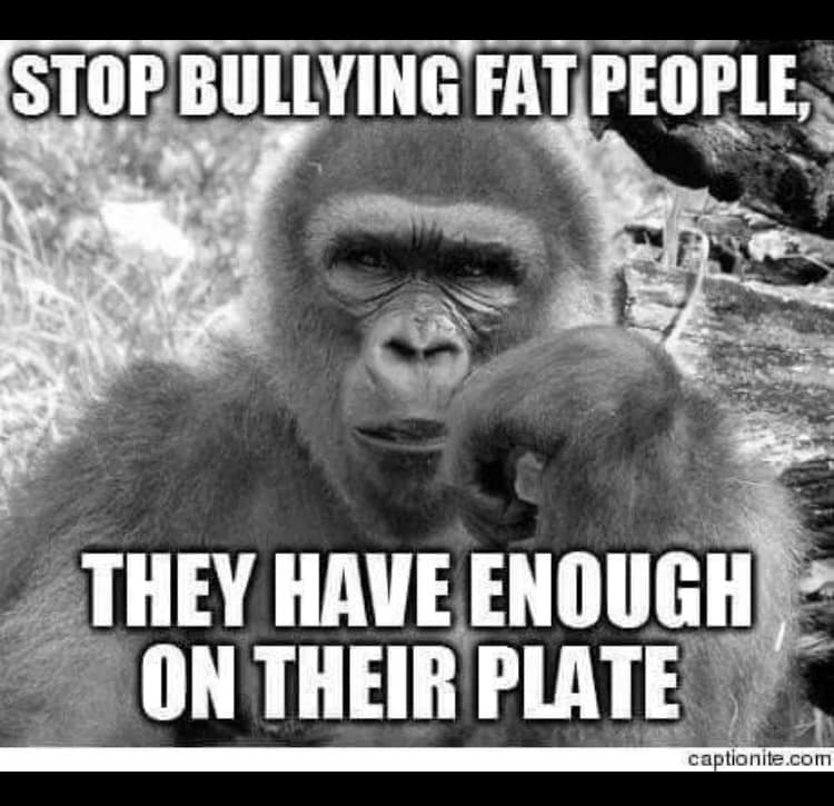 fatties have enoughontheir plate.jpg