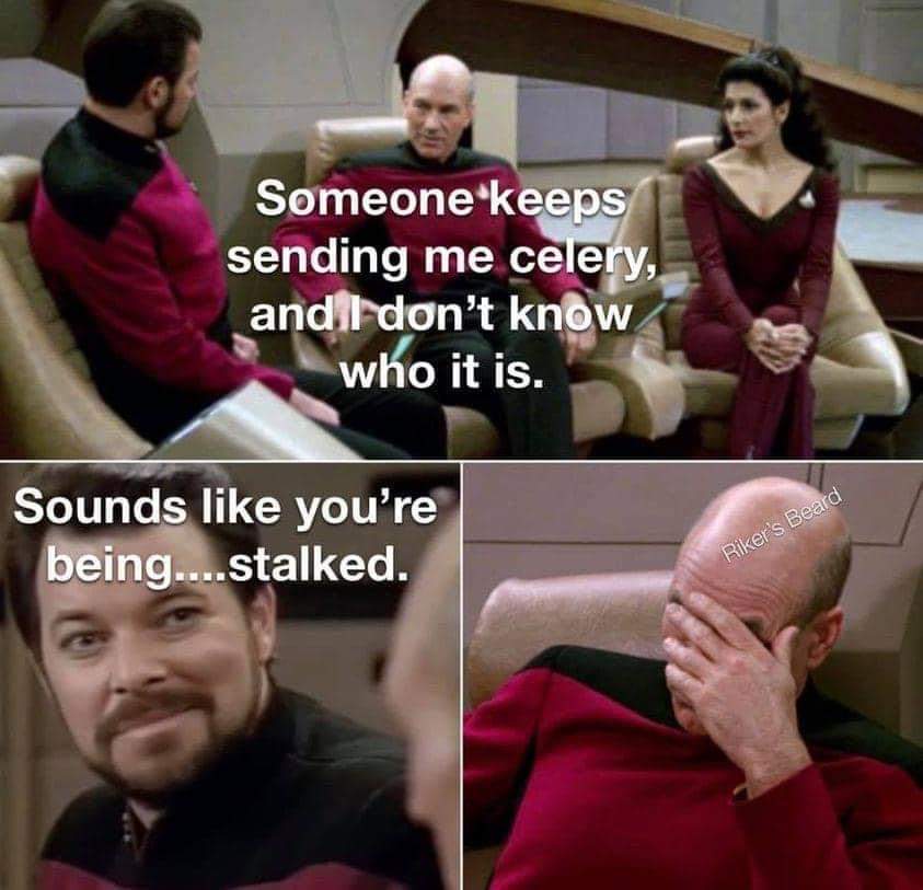 FB_IMG_1703205307338.jpg