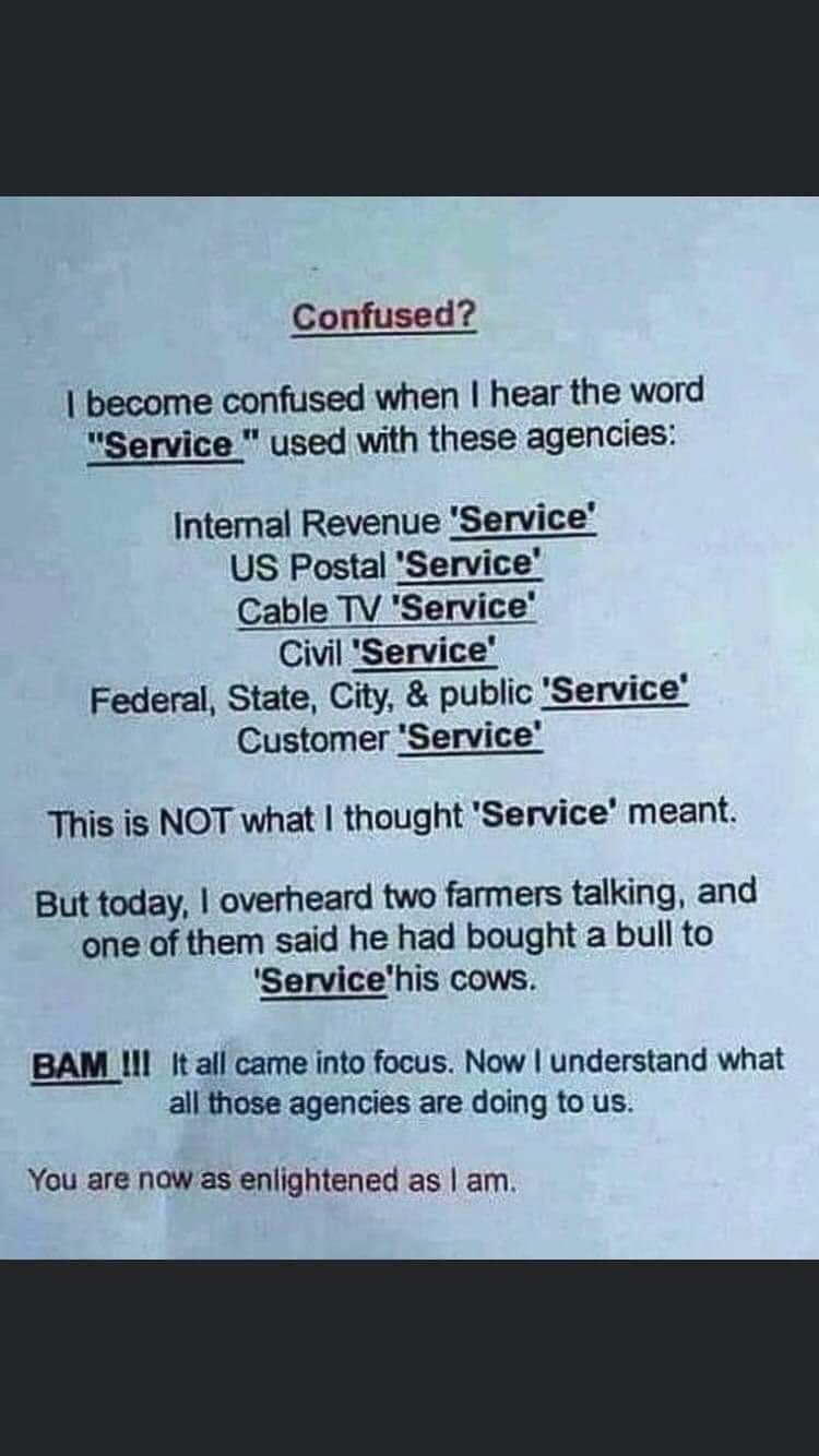 FB_IMG_1712155682815.jpg