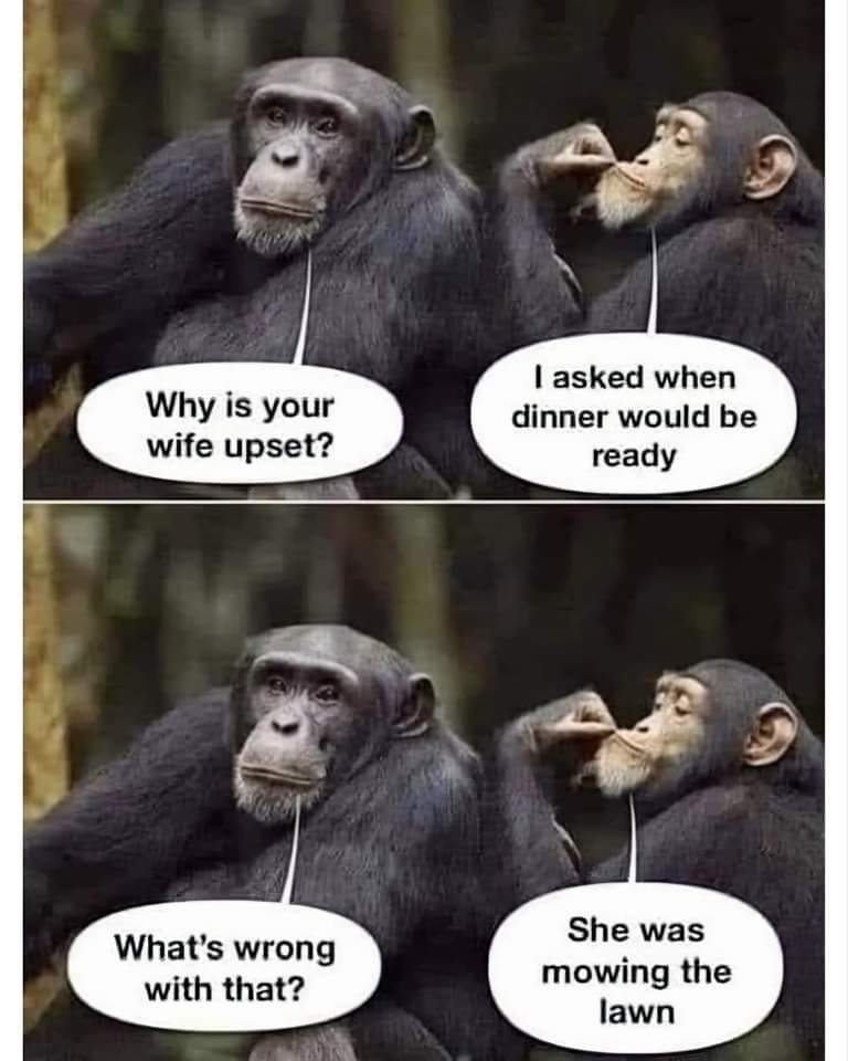 FB_IMG_1716482143197.jpg