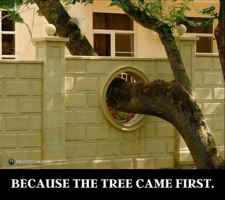 FB_IMG_1717084246016.jpg