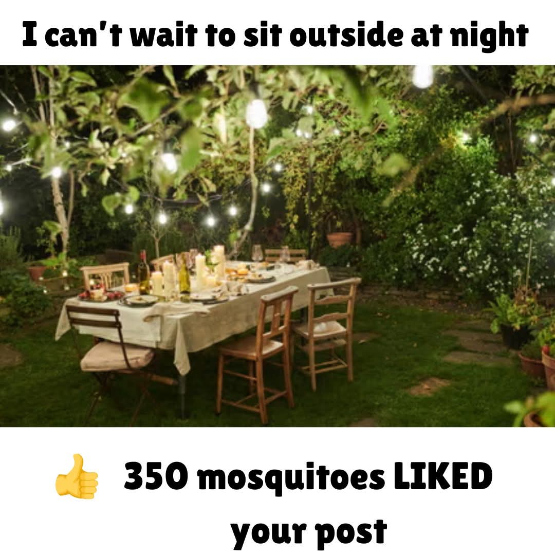 FB_IMG_1748821364584.jpg