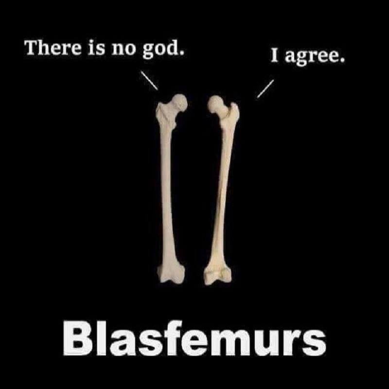 femurs.jpg