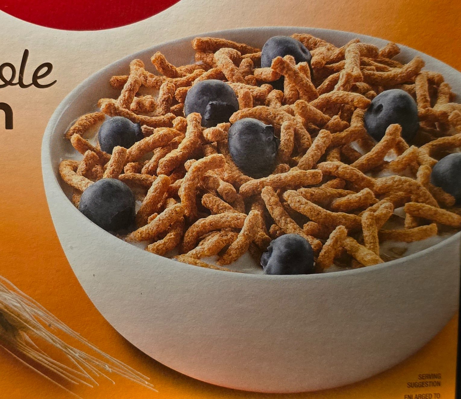 FiberBox.jpg