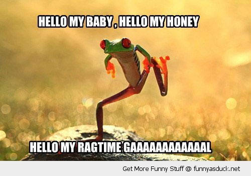 funny-music-dancing-frog-pics.jpg