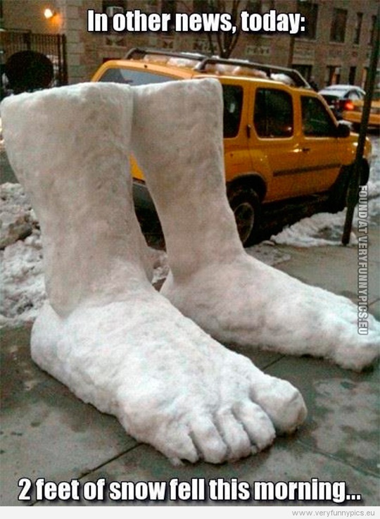 funny-pictures-2-feet-of-snow-fell-this-morning.jpg