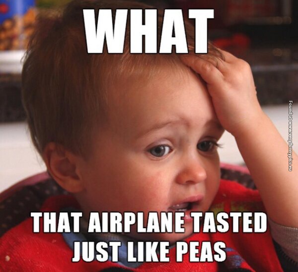 funny-pictures-airplane-baby-peas.jpg