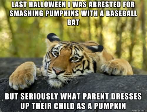 Funny-Pumpkin-Meme-Image.jpg