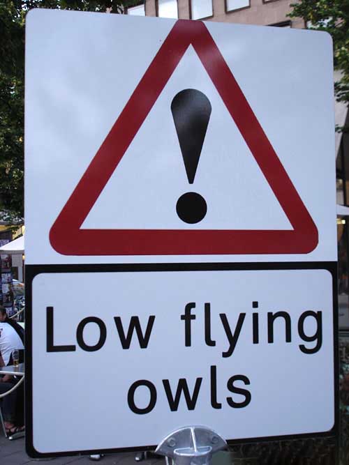 Funny-Signs-Owls-55.jpg