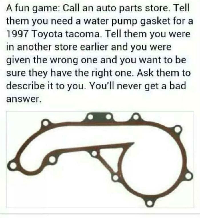 - Gasket.jpg