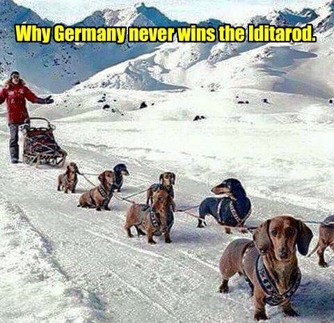 GermanIditarod.png