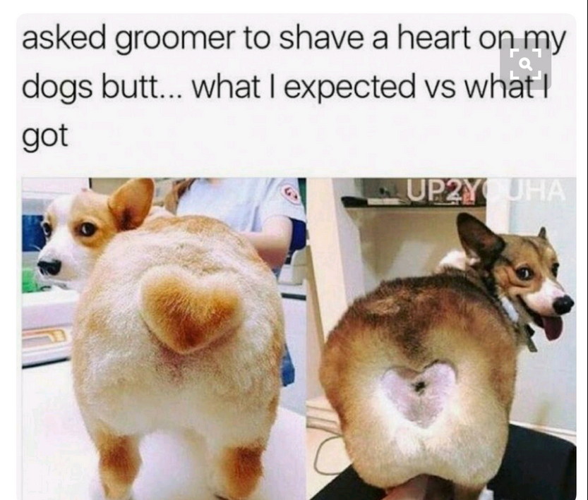 groomer.jpg