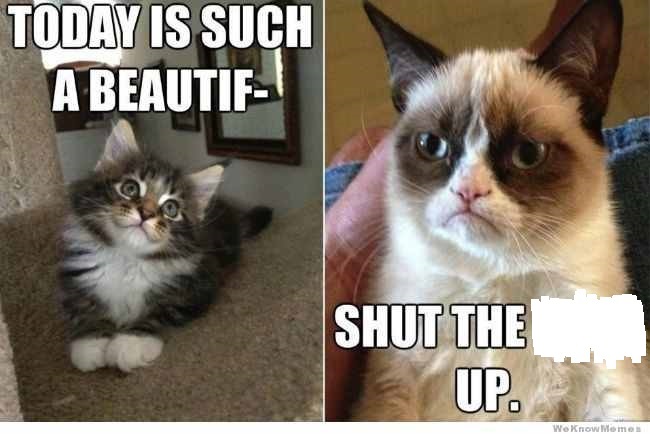 happy-vs-grumpy-cat.jpg