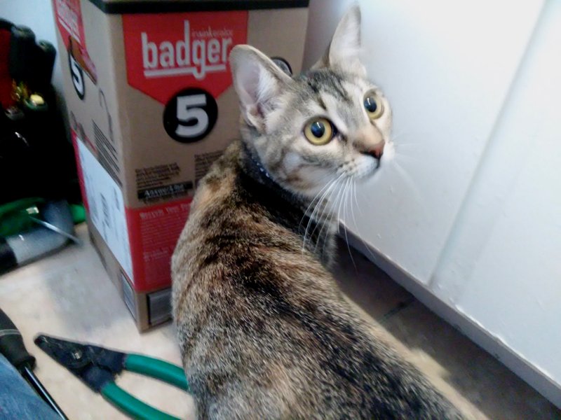helper.jpg
