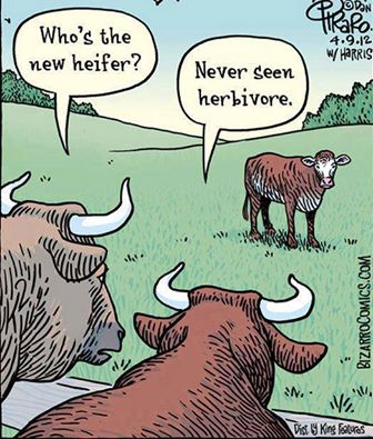 Herbivore.jpg