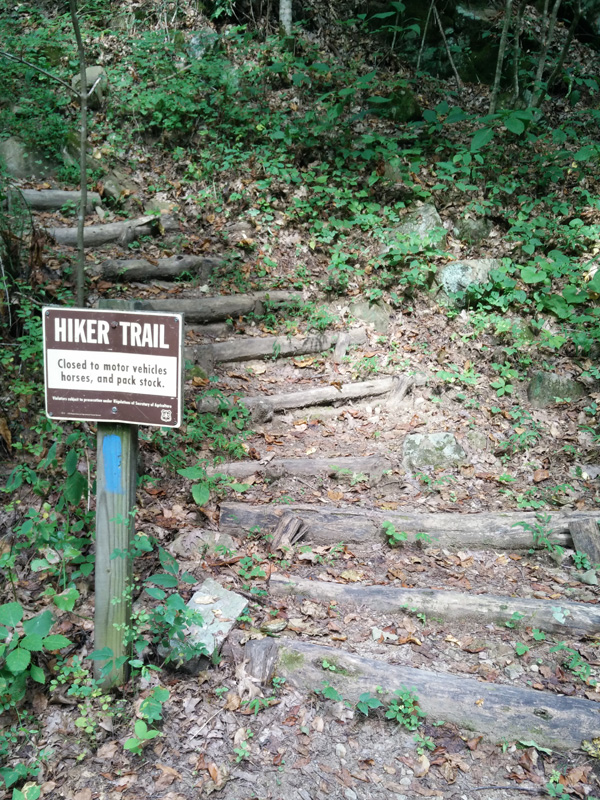 Hiker Trail.jpg