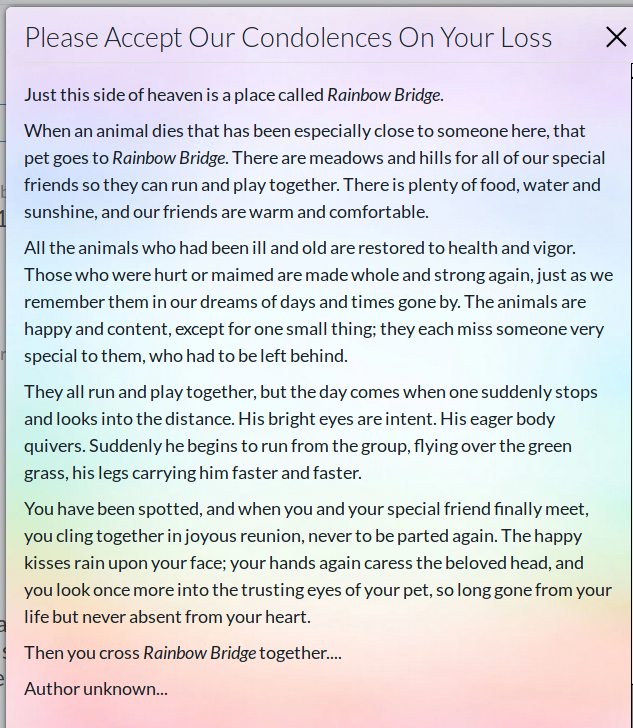 HomeAgain_RainbowBridge_012923_cropped.png