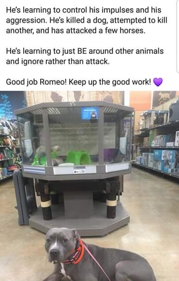 Image may contain_ text.jpg