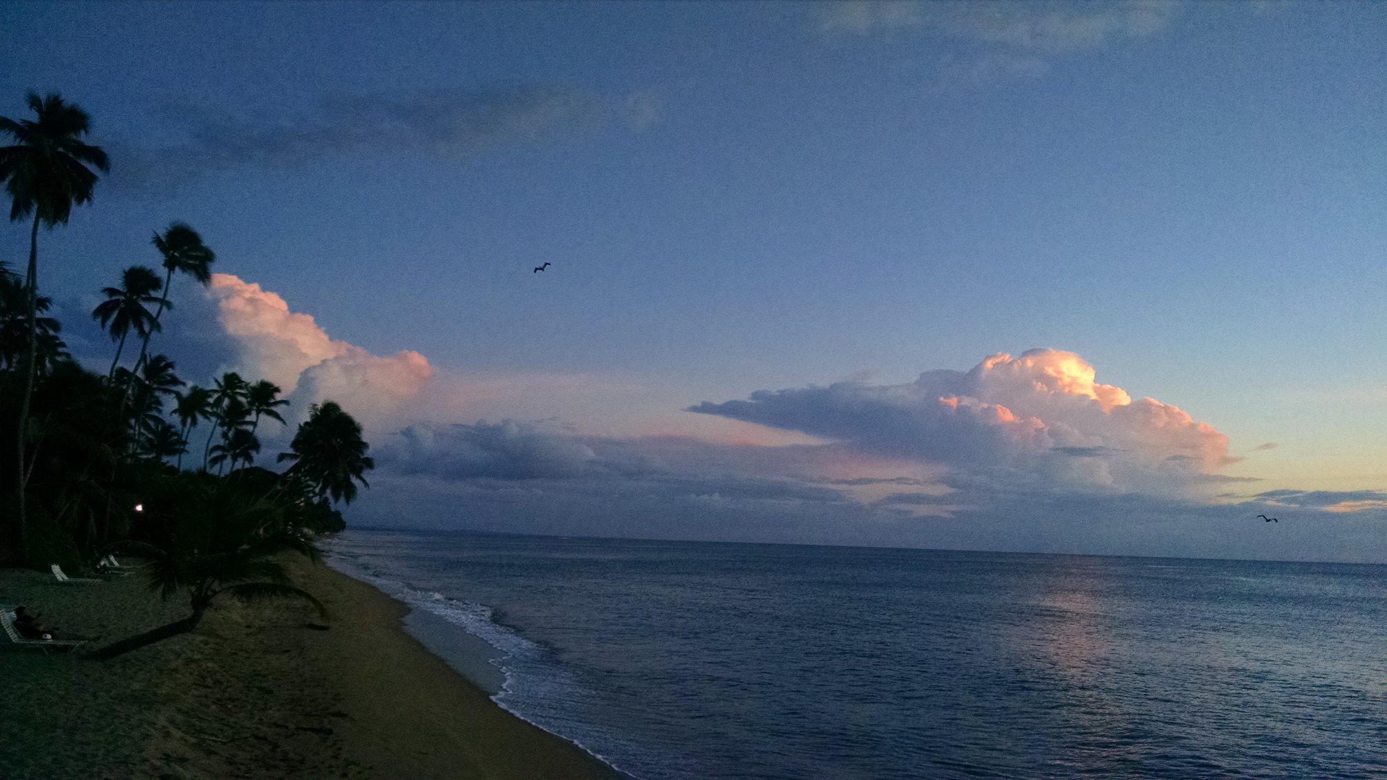 IMG_20141008_182104.jpg