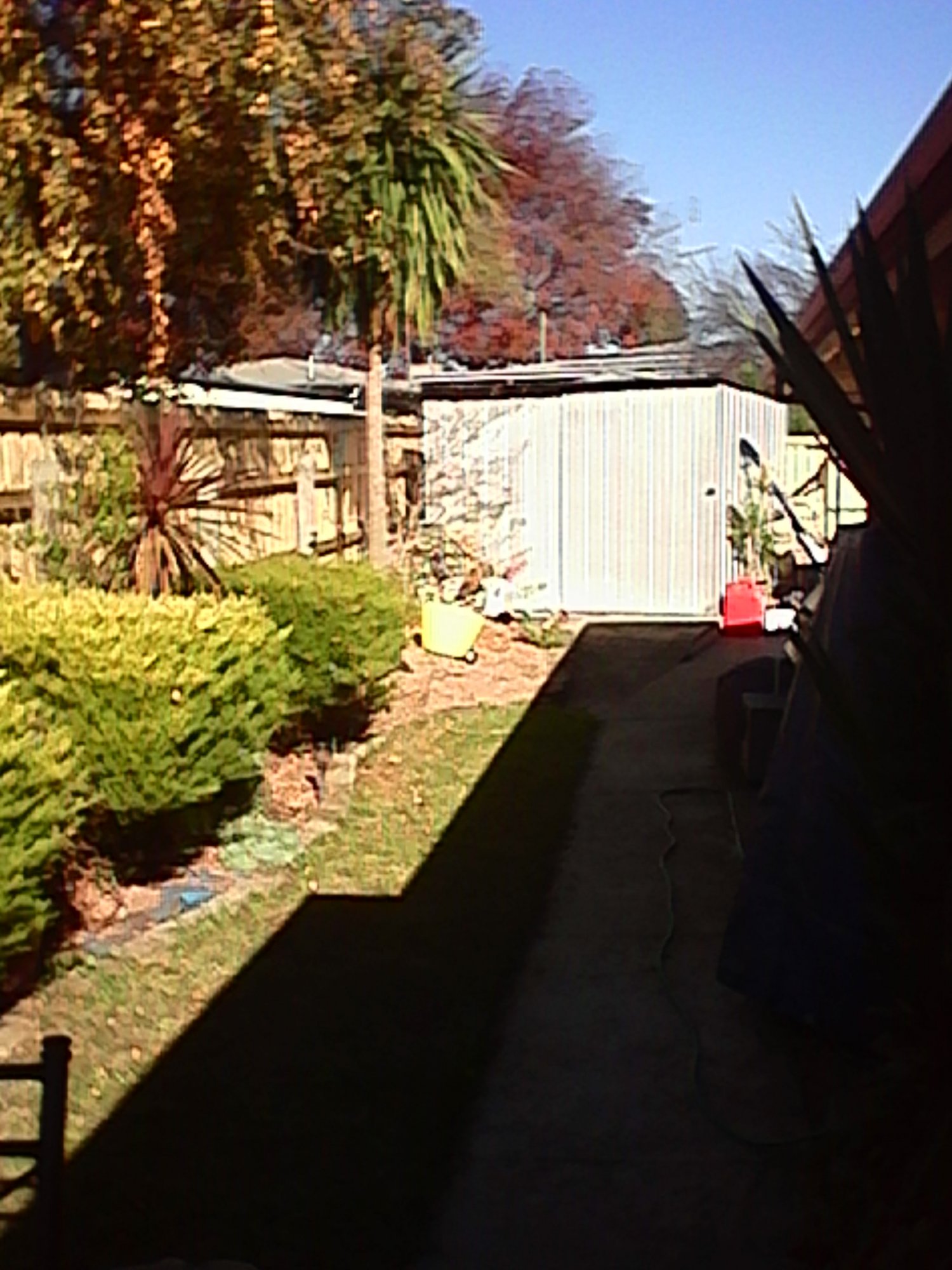 IMG_20150504_140109.jpg