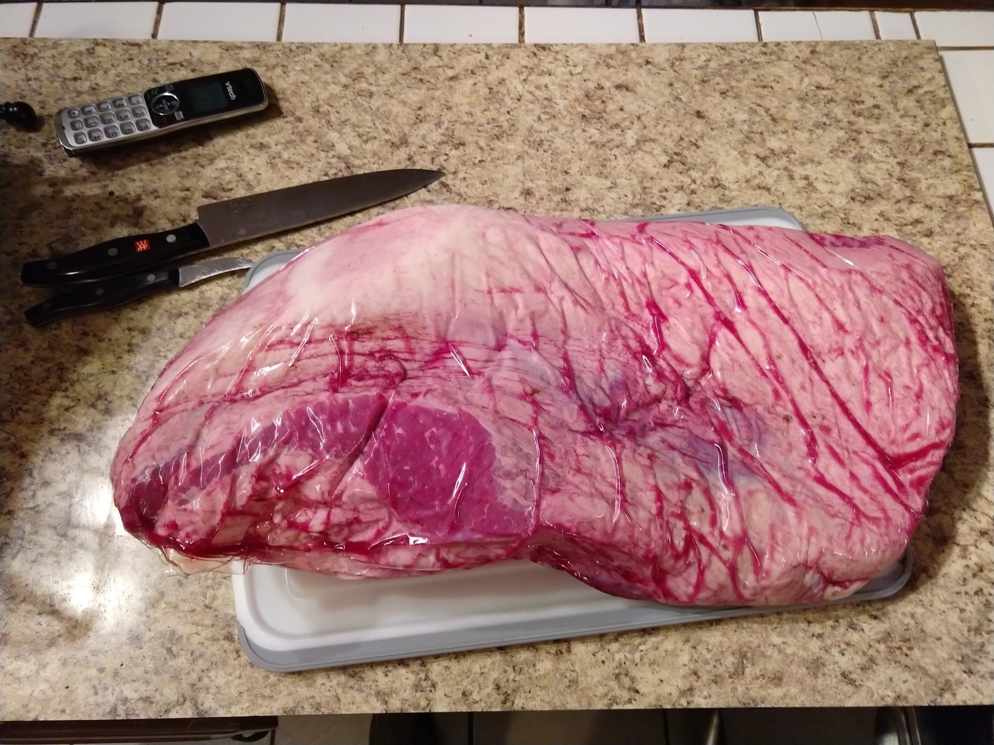 IMG_20180306_190855226.jpg IMG_20180306_190855226.jpg