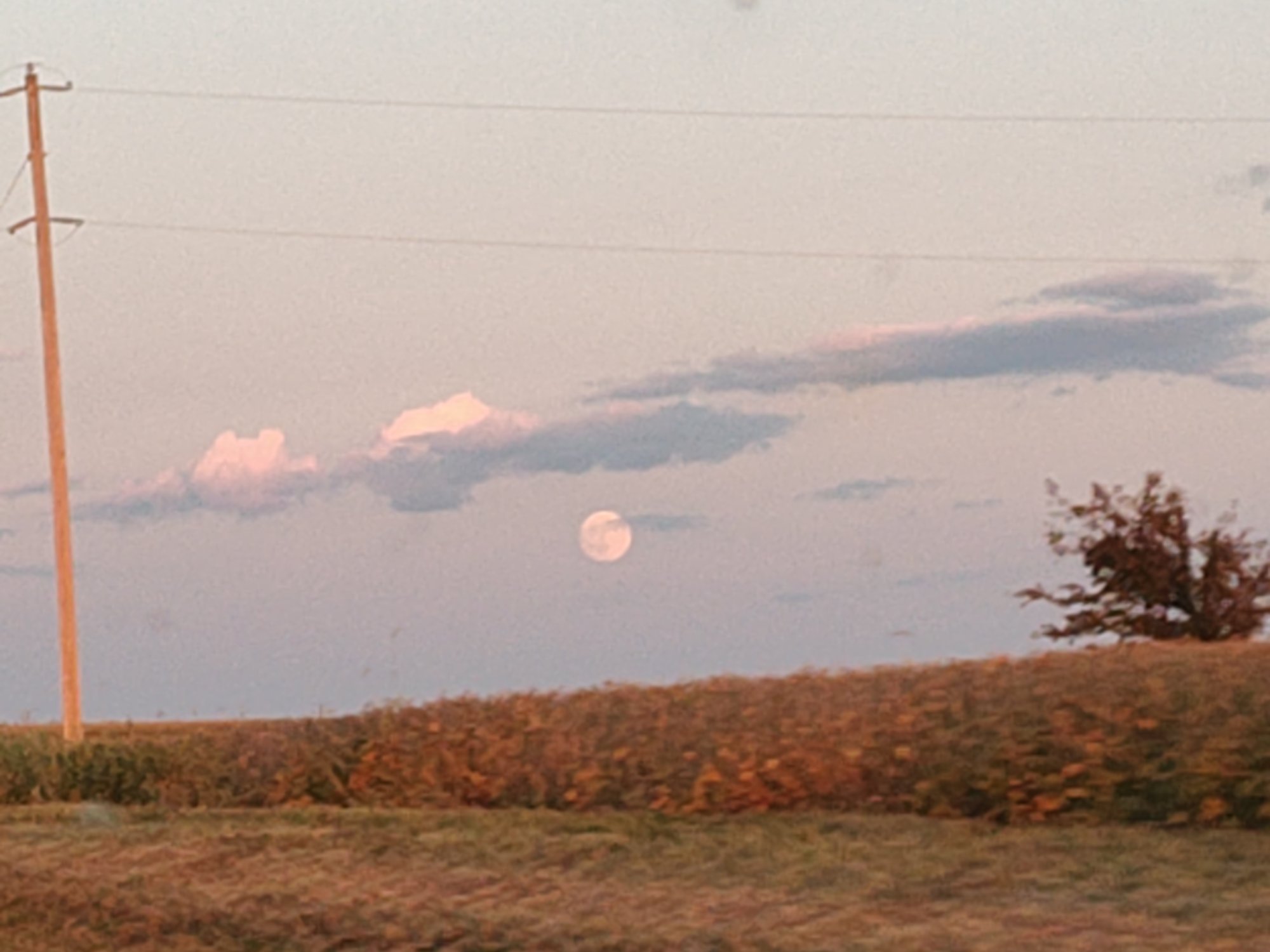IMG_20250906_191001436_BURST033.jpg