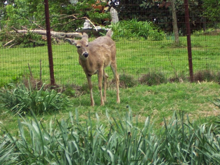 IMG_45741977507203.jpeg