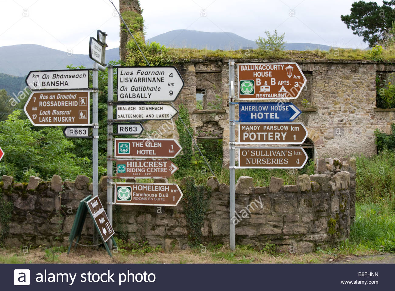 irish-road-signs-in-the-glen-of-aherlow-county-tipperary-ireland-B8FHNN.jpg