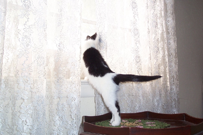 JoyNoelle_120504_1.jpg
