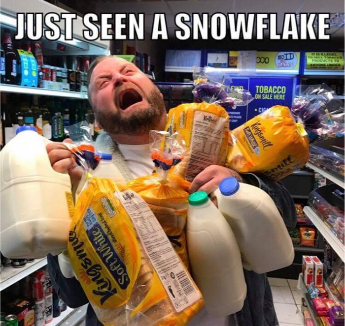 Just-seen-a-snow-flake---snow-meme.jpg