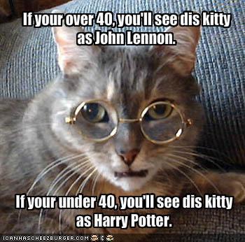 kitty.jpg