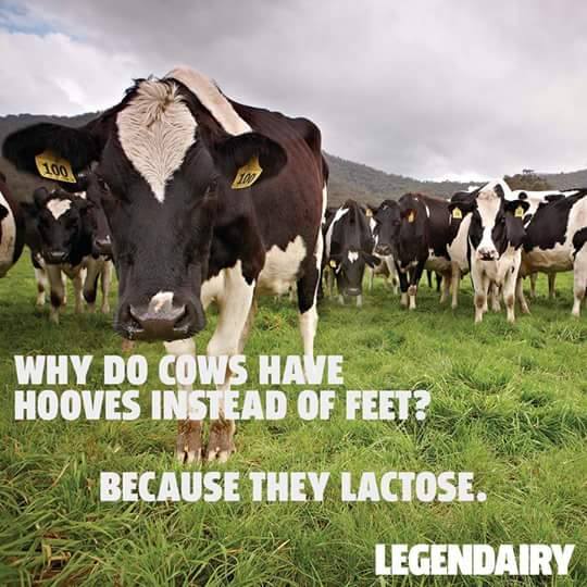Lactose.jpg