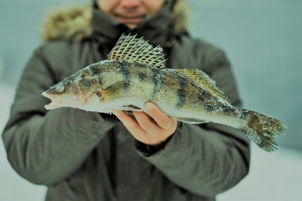 leechlake2.jpg