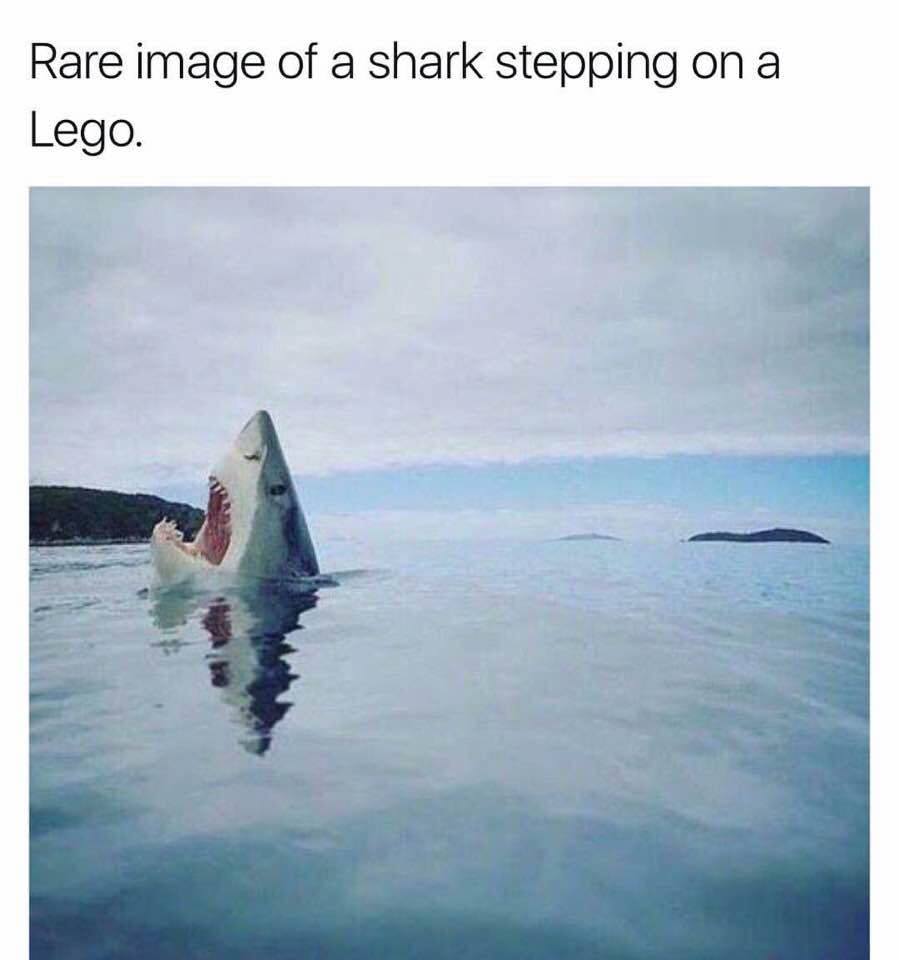 LegoShark.jpg