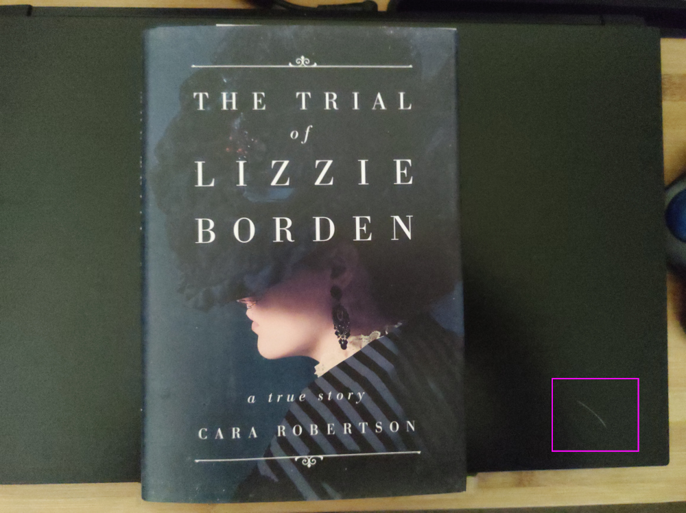 LizzieBorden_book.jpg