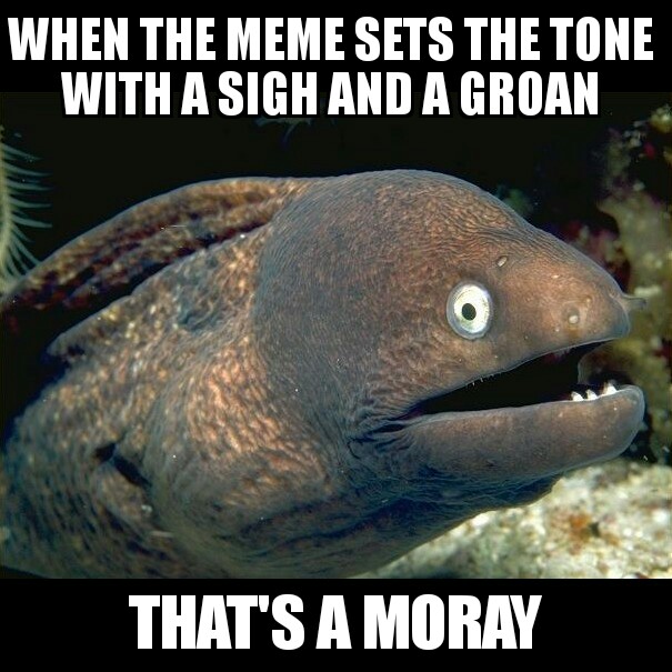 lJhYkZ8.jpg