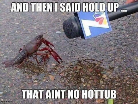 lobsternewsreport.jpg