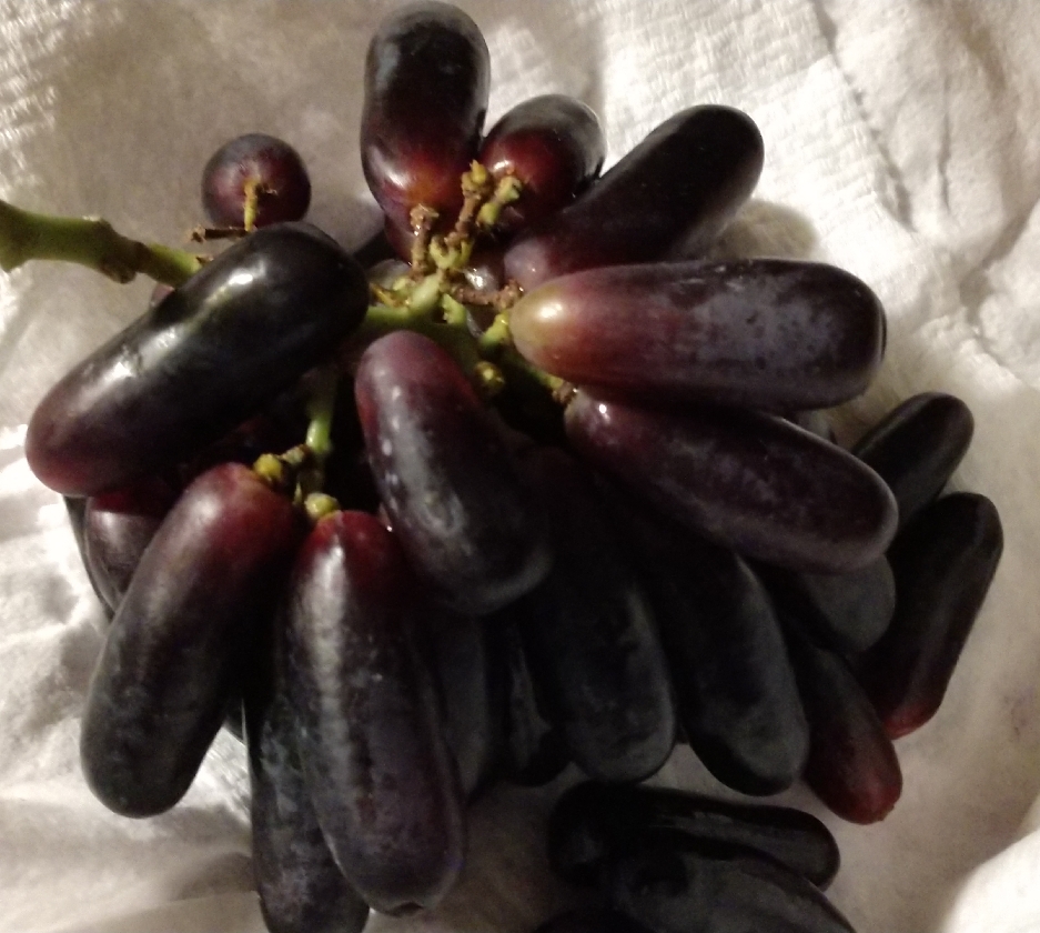 long_black_grapes_020920_.jpg