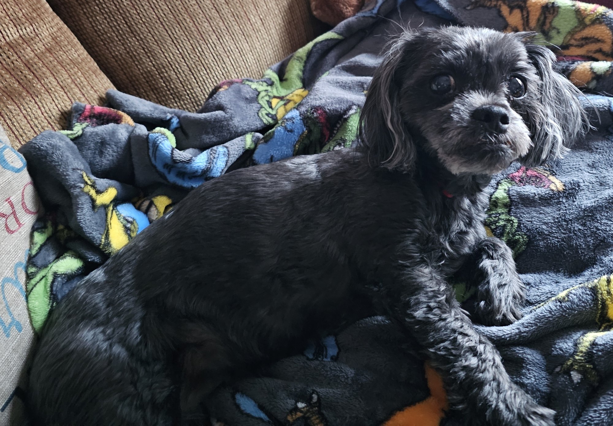 Lucy 231113a.jpg