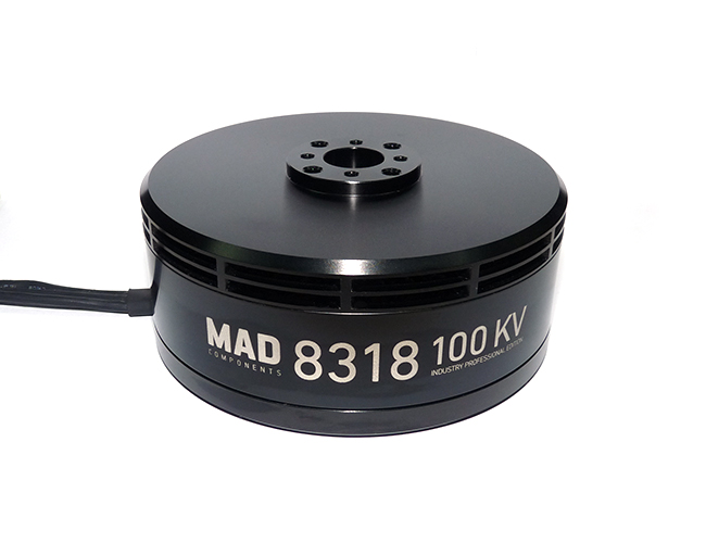 mad-motor-8318-IPE-1.jpg