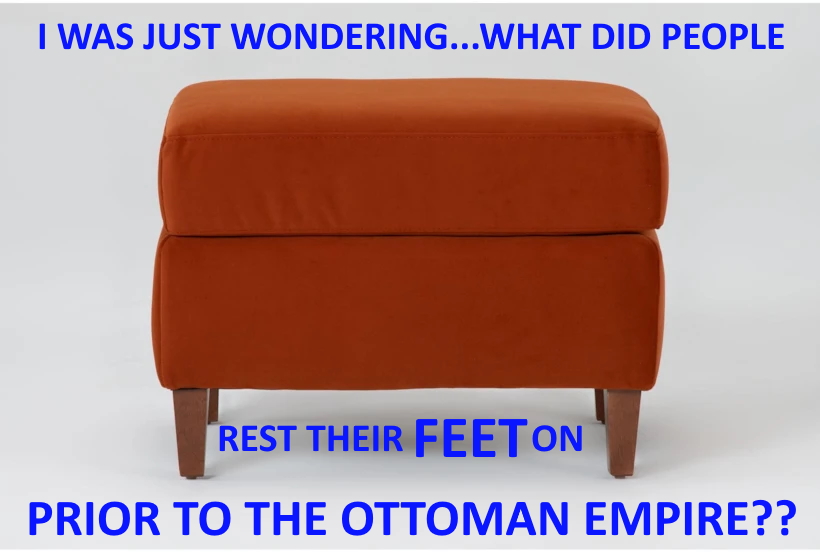 MEME_ottoman.jpg